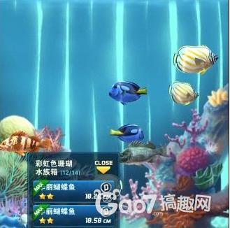 钓鱼发烧友最新刷水族箱空间教程  基础介绍: 总共有7个,分别是彩虹色