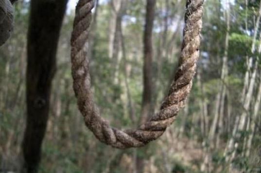 &nbsp;&nbsp;&nbsp;&nbsp;&nbsp; 上吊的绳子